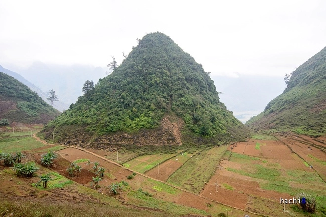 Nhũ đá lung linh trong hang đẹp nhất hà giang - 1