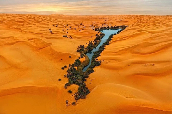 Những điều kỳ diệu giữa sa mạc - 1