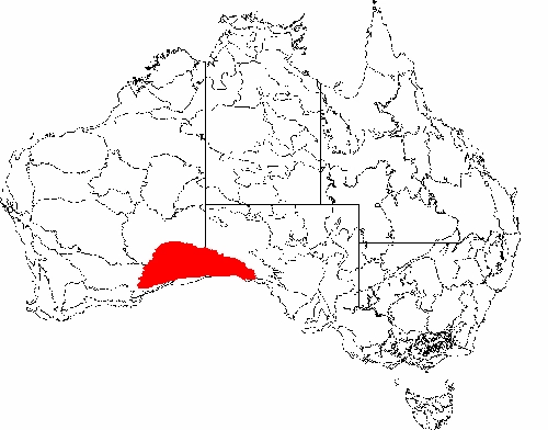 Những vỉa đá khổng lồ ở australia - 1