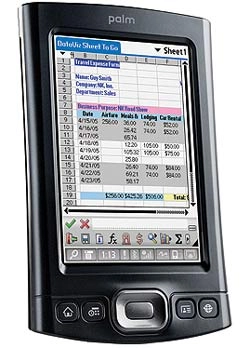 Palm tx - 1