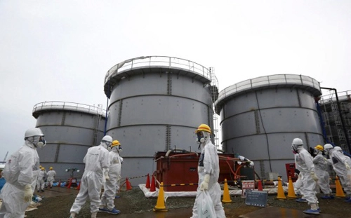 Phát hiện phóng xạ fukushima ở bờ biển canada - 1