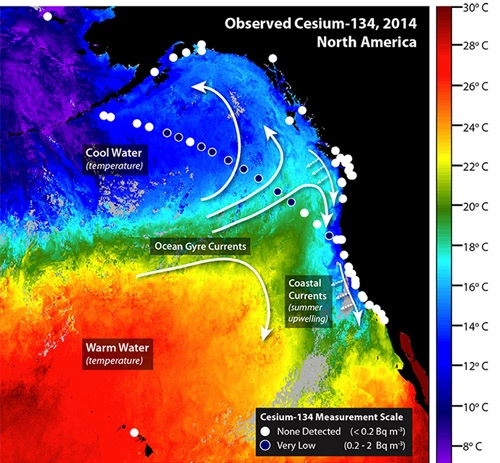 Phóng xạ fukushima lan đến bờ biển mỹ - 1