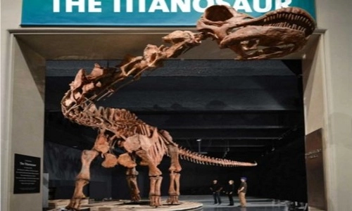 Phục dựng khủng long lớn nhất thế giới - 1