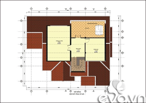 Quyết xây biệt thự 600m2 giữa đất quê - 3