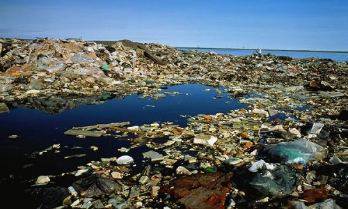 Rác nhựa thải xuống biển nhiều hơn số lượng cá vào năm 2050 - 1