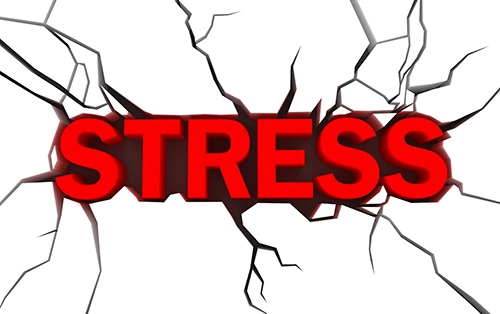 Stress làm bạn xấu hơn bạn tưởng - 2