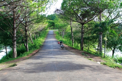 Sức quyến rũ của đôi mắt pleiku - 1