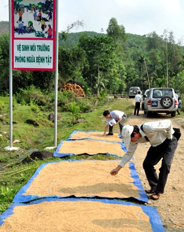 Tác nhân gây bệnh viêm da lạ là độc tố trong gạo cũ - 2