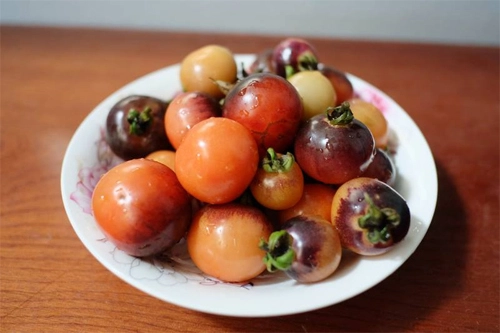 Tại sao tôi trồng cà chua đen lại ra màu cam - 2