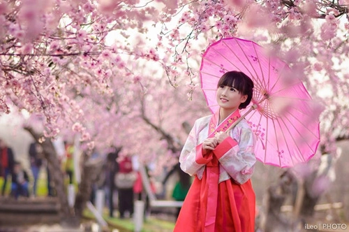 Thiêu nư viêt xinh tươi sươn xam hanbok - 2