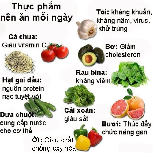 Thực phẩm nên ăn hằng ngày - 1