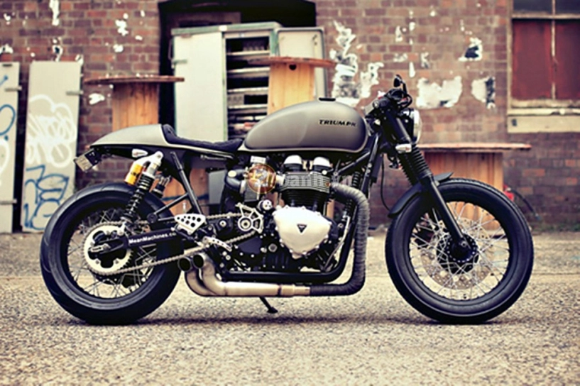 Triumph thruxton - cafe racer từ xứ chuột túi - 1