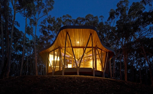 túp lều hiện đại giữa rừng cây - 1