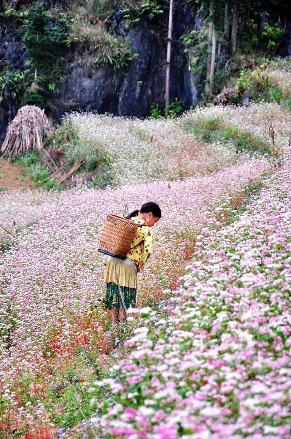 Vài địa điểm chụp ảnh cưới lý tưởng dành cho phượt thủ - 1