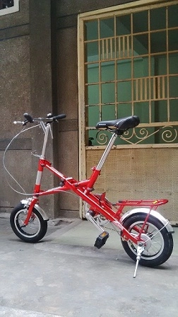 Xe đạp gấp - 1