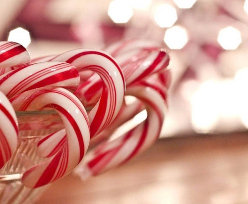 3 loại bánh kẹo nổi tiếng ít khi thiếu trong lễ giáng sinh - 12