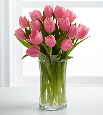 5 bước trồng tulip nở đúng đợt tết về - 10