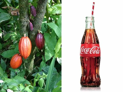 7 chiến lược thương hiệu tuyệt vời của coca-cola - 6