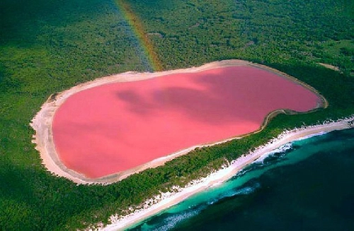 Bí ẩn hồ nước hồng ở australia - 1