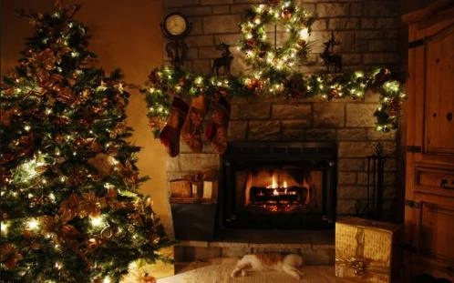 Bí mật về nguồn gốc của cây thông noel - 1