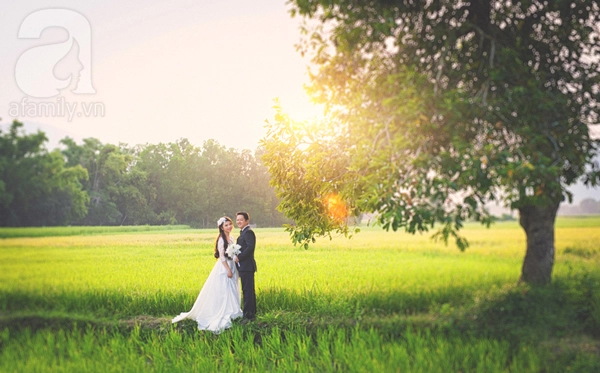 Bộ ảnh cưới an giang mùa lúa chín đẹp như tranh vẽ của cặp đôi miền tây - 11