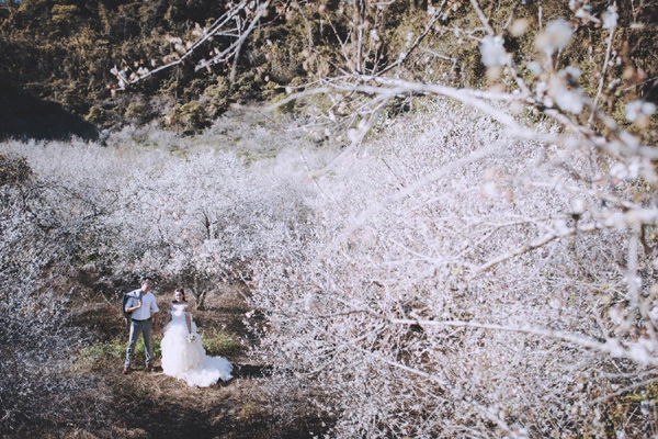 Bộ ảnh cưới thiên đường hoa đào trắng ngày giá rét khiến cặp đôi nào cũng chết mê - 2