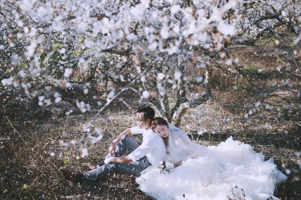 Bộ ảnh cưới thiên đường hoa đào trắng ngày giá rét khiến cặp đôi nào cũng chết mê - 6
