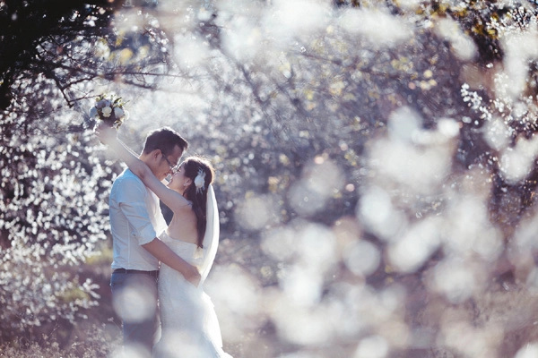 Bộ ảnh cưới thiên đường hoa đào trắng ngày giá rét khiến cặp đôi nào cũng chết mê - 7