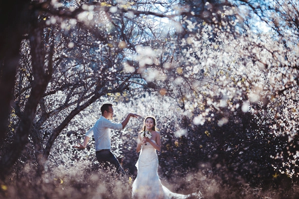Bộ ảnh cưới thiên đường hoa đào trắng ngày giá rét khiến cặp đôi nào cũng chết mê - 8