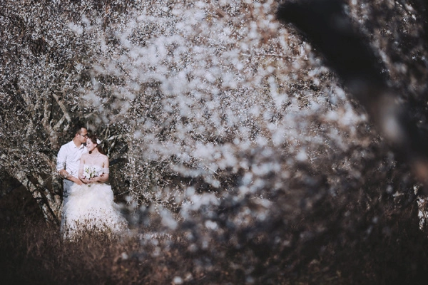 Bộ ảnh cưới thiên đường hoa đào trắng ngày giá rét khiến cặp đôi nào cũng chết mê - 12
