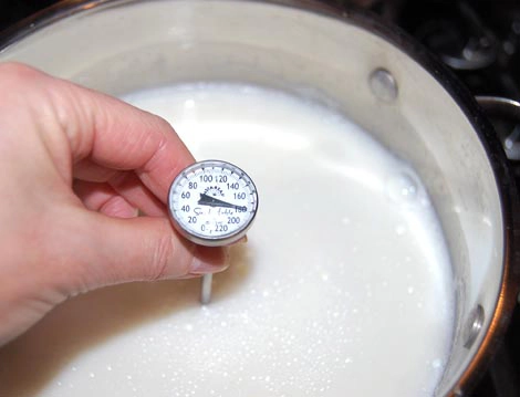 Cách làm sữa chua hy lạp dẻo ngon - 1