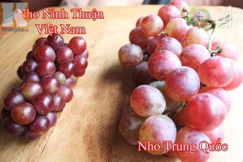 Cách phân biệt nho trung quốc và nho mỹ nho ninh thuận - 2