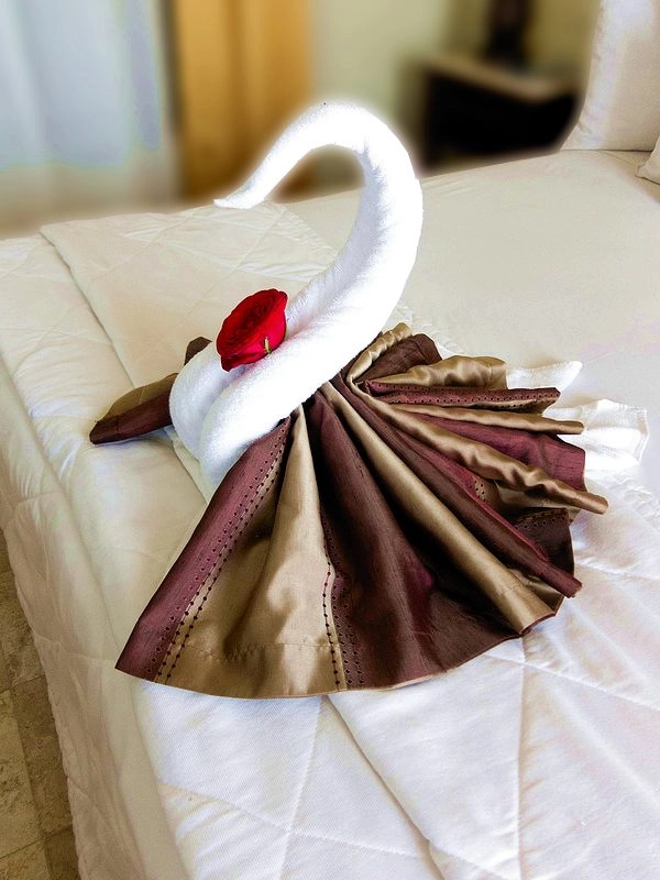 Cách xếp chim thiên nga bằng khăn tắm tô điểm cho giường cưới - 12