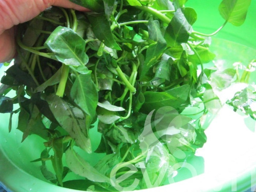 Canh ngao rau muống nấu chua - 5