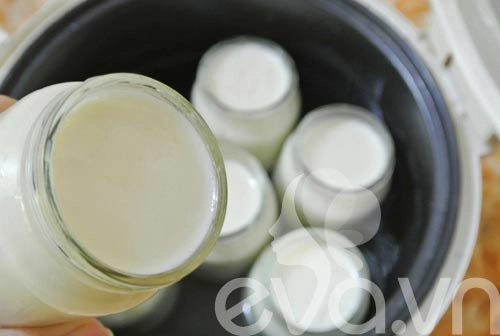Công thức sữa chua từ men probiotic cho bé - 5