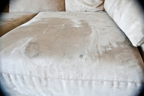Giặt khô sofa da lộn hóa ra chẳng khó - 2