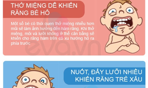 Hé lộ bí mật lớn nhất về răng của trẻ - 4