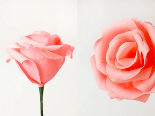 Hoa hồng giấy khổng lồ cho nàng điệu đà ngày tết - 12