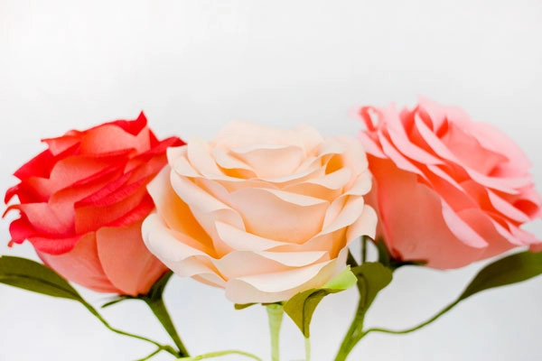 Hoa hồng giấy khổng lồ cho nàng điệu đà ngày tết - 17