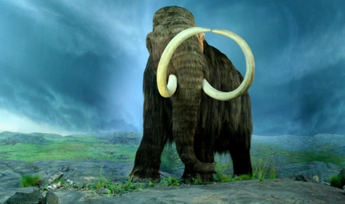 Hóa thạch voi ma mút 25000 năm tuổi - 1