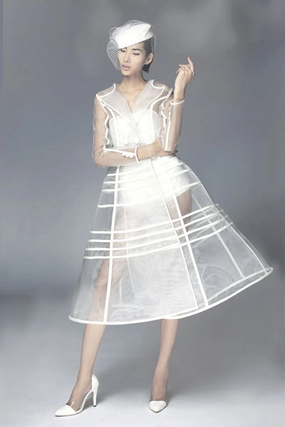 Hoàng thùy mặc váy làm từ lưới và gọng nhựa - 2