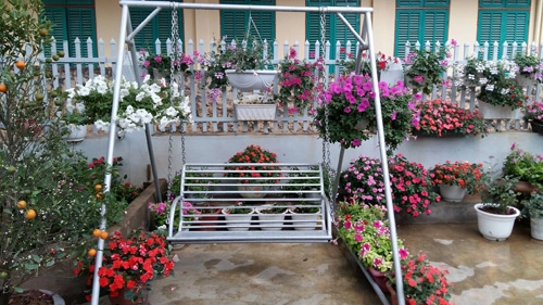 Mẹ trẻ trồng vườn ngập sắc hoa tại thiên đường mộc châu - 2