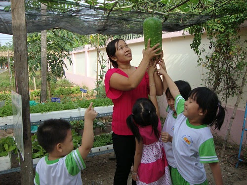 Mỡ màng vườn rau xanh cô giáo trồng cho các bé ăn - 5