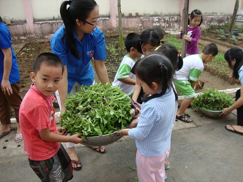Mỡ màng vườn rau xanh cô giáo trồng cho các bé ăn - 9