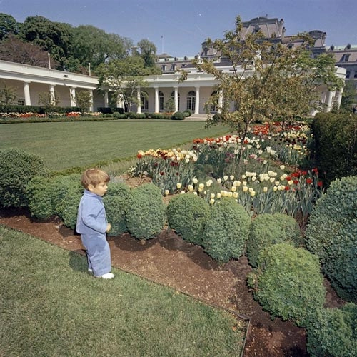 Ngắm vườn hồng - biểu tượng một thời của vợ chồng tổng thống mỹ - 3