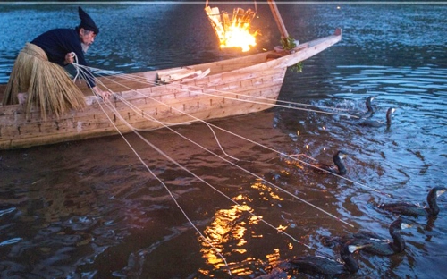 Nghệ thuật đánh cá bằng chim cốc và lửa của người nhật - 1