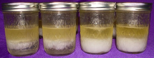 Phân biệt các dạng sản phẩm dưỡng da gel cream lotion - 5