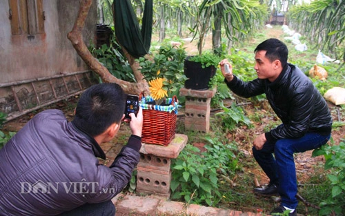 Phật thủ bonsai dáng bàn tay chắp cực lạ giá hơn chục triệu - 9