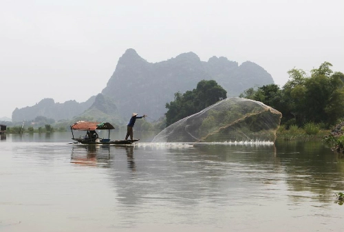 Phượng hoàng đất ở tràng an - 1