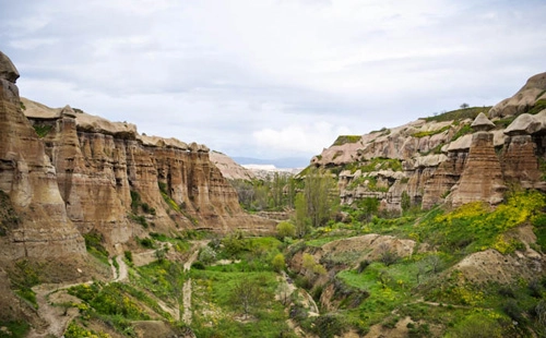 rừng dương vật ở cappadocia - 5